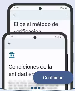 Google Wallet términos y condiciones